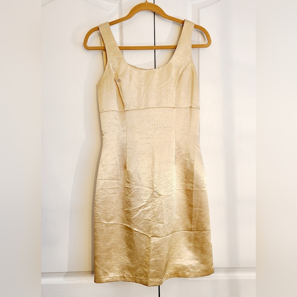 Alyn Paige Elegant Gold Sleeveless Pencil Dress Metallic Gold Party Cocktail